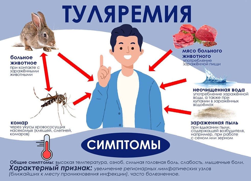 Памятка для населения: как защитить себя от туляремии